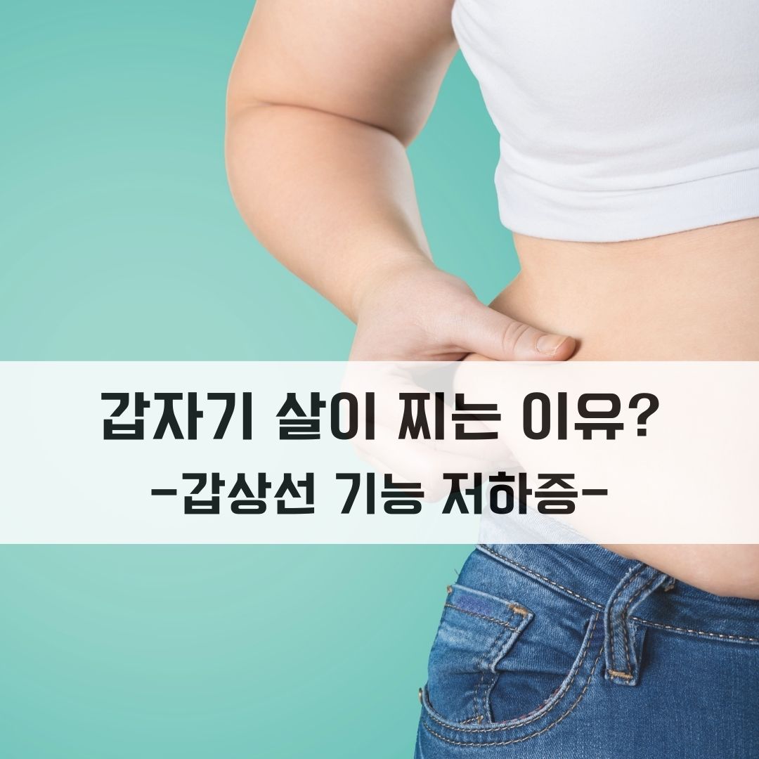 갑자기 살이 찌는 이유